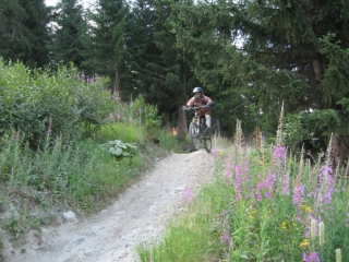  Ciclismo por el campo 